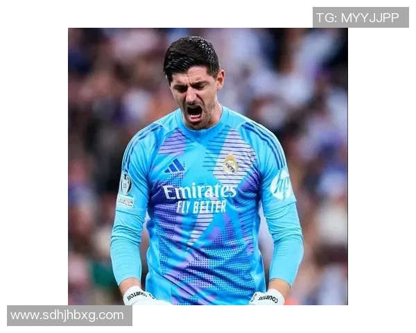 热刺足球明星头像精选展示球迷必看精彩瞬间与背后故事